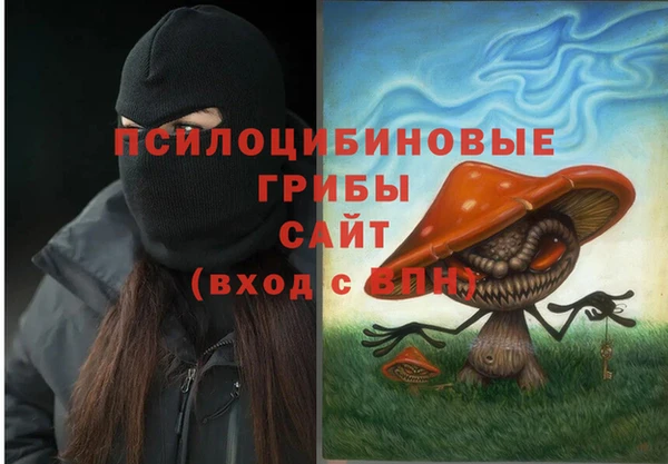 сатива Абдулино