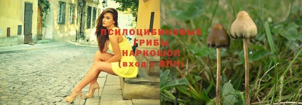 mix Абаза