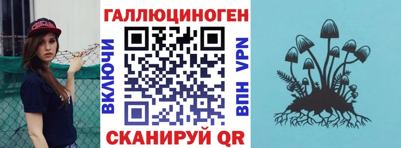 Галлюциногенные грибы Psilocybine cubensis что такое Торжок