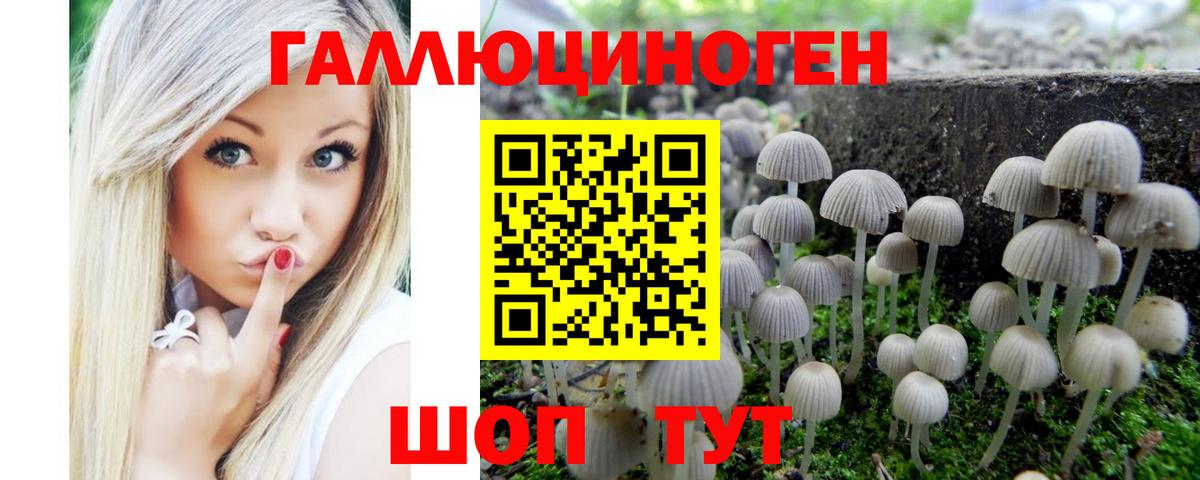 Псилоцибиновые грибы мицелий Торжок