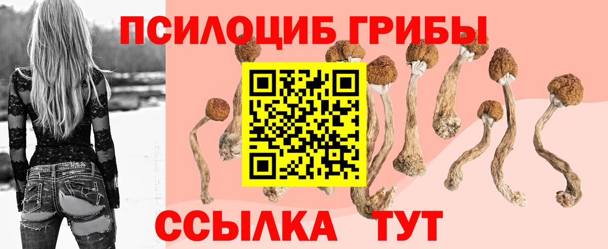 Галлюциногенные грибы Psilocybine cubensis  Вход с VPN  Торжок 
